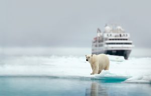 Silver Cloud Antarctica