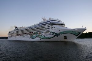 Norwegian Cruise CEO: Next three months key for return to cruising