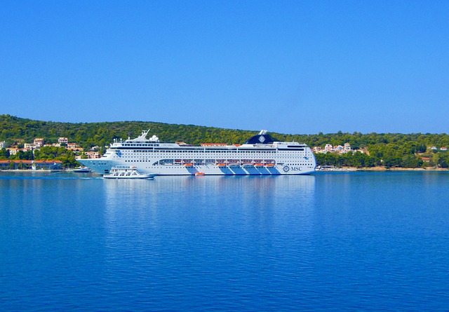 Pierfrancesco Vago universal COVID-19 testing for all guests and crew prior to embarkation 